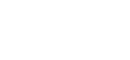 Niger Startup Alliance